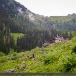 Coming up to Alpenrose